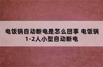 电饭锅自动断电是怎么回事 电饭锅1-2人小型自动断电